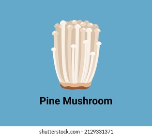 Enoki mushroom in a delicious and neat style illustration set. Enokitake, vegetable Vector drawing. Hand drawn style.