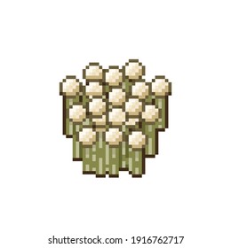Enoki mushroom pixel art. Mushroom pixel art. Vector illustration. Pixel mushrooms for games and applications.