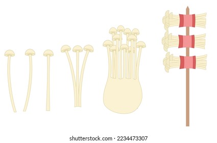 Enoki mushroom.Enokitake.Gold needle mushroom.Flammulina velutipes.Yakitori Skewer.Asian food.Vegetable or herb.Sign, symbol, icon or logo isolated.Cartoon vector illustration.Flat design.Graphic.