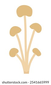 Logo dos cogumelos Enoki. Um desenho à mão condicional sobre um fundo branco, orgânico, comida vegetariana saudável.