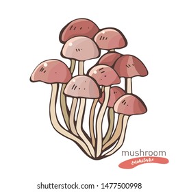 Enokitake mushroom  in hand drawn vector illustration in color. Sketch food drawing isolated on white background. Organic, vegetarian product. Great for menu, label, product packaging
