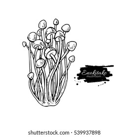 Enokitake mushroom hand drawn vector illustration. Sketch food drawing isolated on white background. Organic vegetarian product. Great  for menu, label, product packaging, recipe