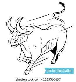 Enraged bull runs to the matador. Symbol of power and strength is a big evil bull. Auto sticker, car wrapping, graphic for t shirts and tee. Vector linear illustration on white background.