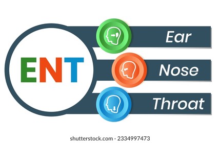 ENT Ear Nose Throat acronym, medical concept background. vector illustration concept with keywords. lettering illustration with icons for web banner, flyer, landing page