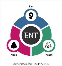 ENT - Ear, Nose, Throat acronym. Infographic template with icons and description placeholder