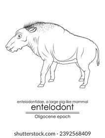 Entelodont, also known as the hell pig, was a large pig-like mammal from the Oligocene epoch. Black and white line art, perfect for coloring and educational purposes.