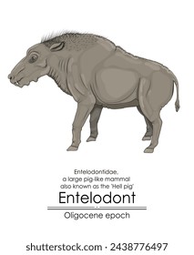 Entelodont, also known as the hell pig, was a large pig-like mammal from the Oligocene epoch.