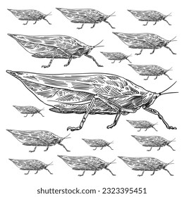 Enter the captivating realm of “Insects” with this unique pack of illustrations, highlighting the fascinating world of grasshoppers and mantises. 