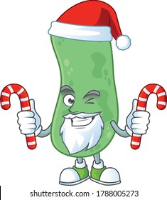 Enterobacteriaceae humble Santa Cartoon character having candies. Vector illustration