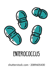 Enterococcus lactic acid pathogen bacteria in the human intestinal microflora, vector illustration. Microbiota of the digestive tract.