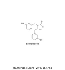 Enterolactone skeletal structure diagram.lignan compound molecule scientific illustration on white background.