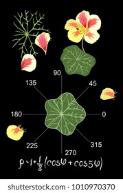 Entertaining mathematics. 
Trigonometric equation and graph  describing the shape of a leaf of nasturtium. Beautiful card, teacher's manual. Vector illustration.
