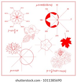 Entertaining Mathematics. Trigonometric functions and algebraic graphs of water lily sheet, maple and nasturtium leaves, eight-petalled rose Grandi, constructed in polar coordinate system in vector. 