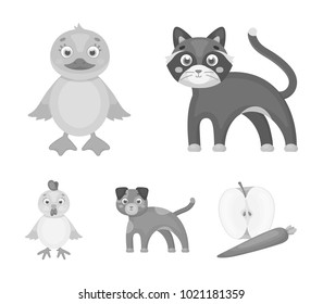 Entertainment, farm, pets and other web icon in monochrome style. Eggs, toy, recreation icons in set collection.