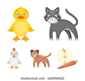 Entertainment, farm, pets and other web icon in cartoon style. Eggs, toy, recreation icons in set collection.