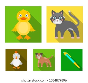 Entertainment, farm, pets and other web icon in flat style. Eggs, toy, recreation icons in set collection.