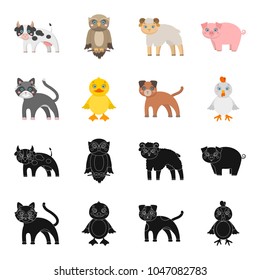 Entertainment, farm, pets and other web icon in black,cartoon style. Eggs, toy, recreation icons in set collection.