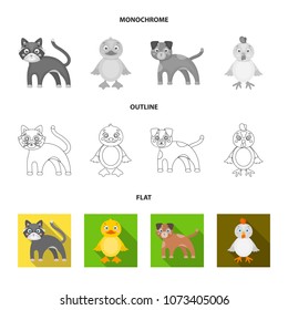 Entertainment, farm, pets and other web icon in flat,outline,monochrome style. Eggs, toy, recreation icons in set collection.