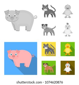 Entertainment, farm, pets and other web icon in monochrome,flat style. Eggs, toy, recreation icons in set collection.
