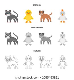 Entertainment, farm, pets and other web icon in cartoon,outline,monochrome style. Eggs, toy, recreation icons in set collection.