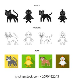 Entertainment, farm, pets and other web icon in black,flat,outline style. Eggs, toy, recreation icons in set collection.