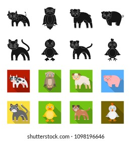 Entertainment, farm, pets and other web icon in black,flet style. Eggs, toy, recreation icons in set collection.
