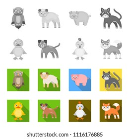Entertainment, farm, pets and other web icon in monochrome,flat style. Eggs, toy, recreation icons in set collection.