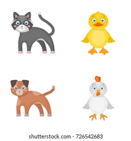 Entertainment, farm, pets and other web icon in cartoon style. Eggs, toy, recreation icons in set collection.