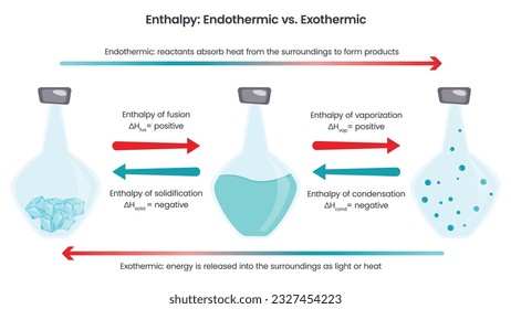Enthalpy endothermic versus exothermic reactions chemistry vector illustration
