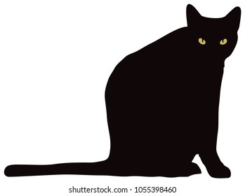 Entire black cat standing looking at camera with yellow eyes vector
