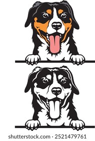 Entlebucher mountain color peeking dogs vector, white background, vector illustration