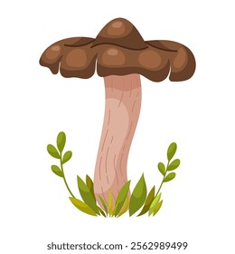 Entoloma clypeatum mushroom. Edible forest mushroom. Forest grass and leaves. Cartoon vector illustration on a white background.