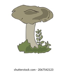 entoloma gray is poisonous .
Illustration of mushrooms growing in the forest.