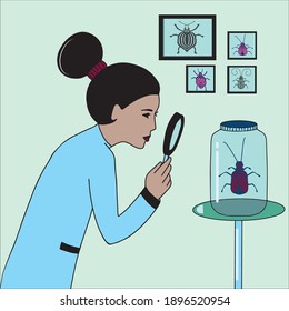 Entomologist Character Inspects and Studies Bugs . Woman with Professional Occupation. Flat Vector Illustration