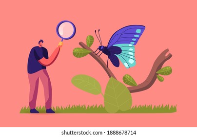 Entomologist Scientist or Amateur Character Search and Study Butterfly Insects in Wild Nature and Fauna. Man with Magnifier Entomology Hobby or Professional Occupation. Cartoon Vector Illustration