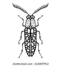 Entomology character beetle. Vector illustration of beetle deer on white background. Zentangle stylized cartoon isolated on white background. Lucanus cervus. Coloring page for adult anti-stress.