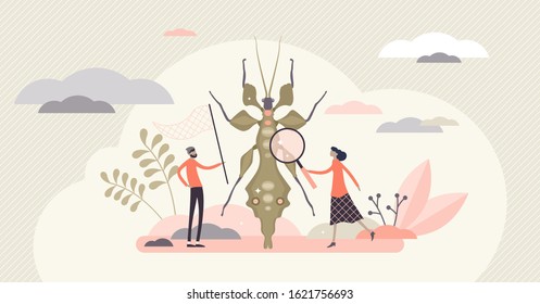 Entomology field concept, flat tiny person entomologists vector illustration. Catching insects and gathering closeup data. Research work for agriculture, biology and molecular science industries.