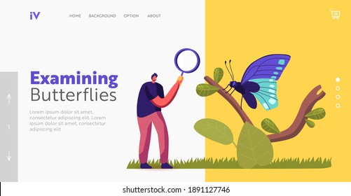 Entomology Landing Page Template. Entomologist Character Search and Study Butterfly Insects in Wild Nature and Fauna. Man with Magnifier Hobby or Professional Occupation. Cartoon Vector Illustration