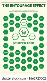 La ilustración infográfica vertical del efecto Entourage sobre el cannabis como medicina alternativa herbaria y terapia química, salud y vector de ciencias médicas.