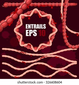 Entrails in circle shape vector art and illustration.