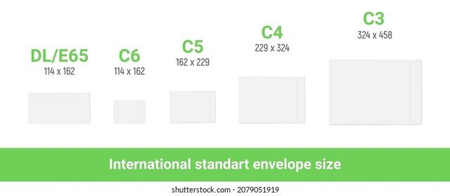 Envelope Cut International Size Mockup Vector Template