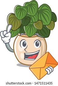 With envelope peperomia isolated within in the character