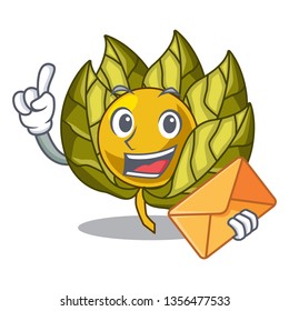 With envelope physalis fruit in the mascot fridge