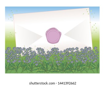 Envelope and sealed  - Lavender field Background