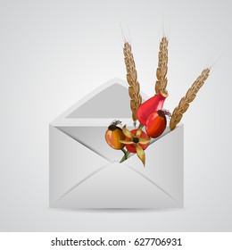 Envelope with spikelets of wheat and rose hips . Isolated vector illustration.