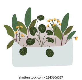 envelope witn plants over white