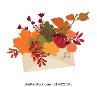 An envelope with yellow maple and oak leaves, rowan, rosehip and physalis fruits. Hello, autumn! Vector illustration.