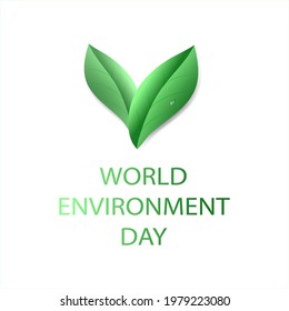 Environment concept. Bulky leaves and a drop of water. Vector illustration in the style of realism. World Environment Day.