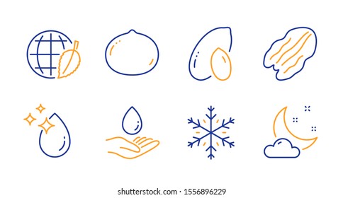 Environment day, Water care and Macadamia nut line icons set. Pecan nut, Water drop and Snowflake signs. Peanut, Night weather symbols. Safe world, Aqua drop. Nature set. Vector