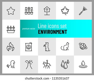 Environment icons. Set of  line icons. Star, palm, volcano. Nature concept. Vector illustration can be used for topics like ecology, ecosystem